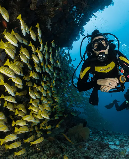 adventure diver course - aqaba dive academy