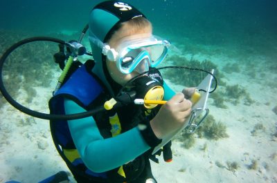 bubble-maker-aqaba dive academy.jpg