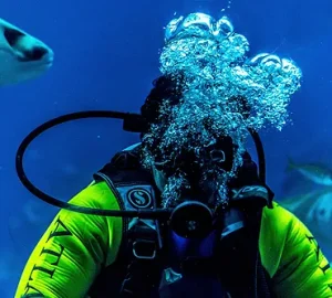 Open water diving course in aqaba